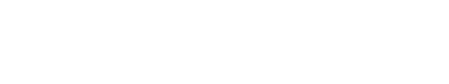 Flex90