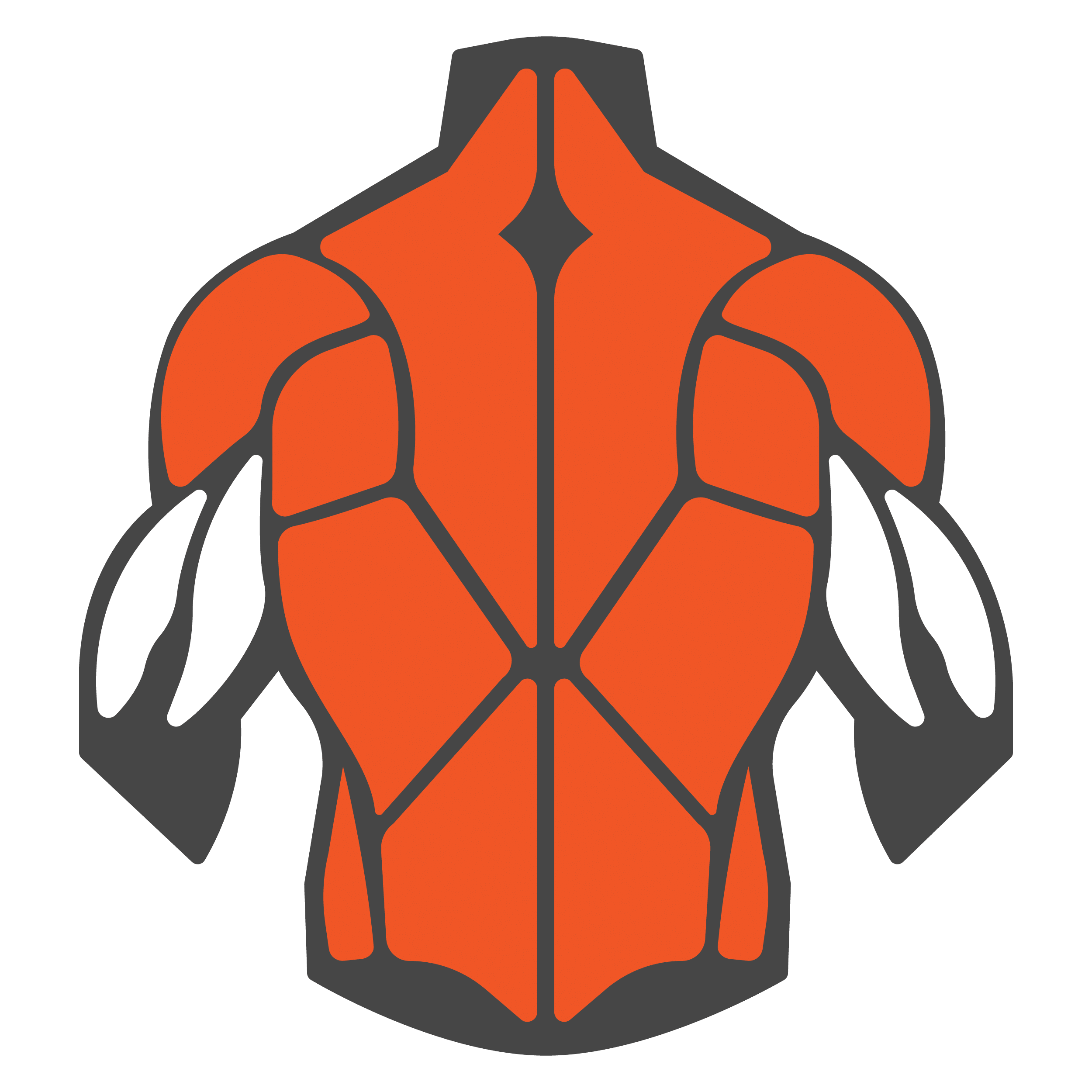 back muscle group icon