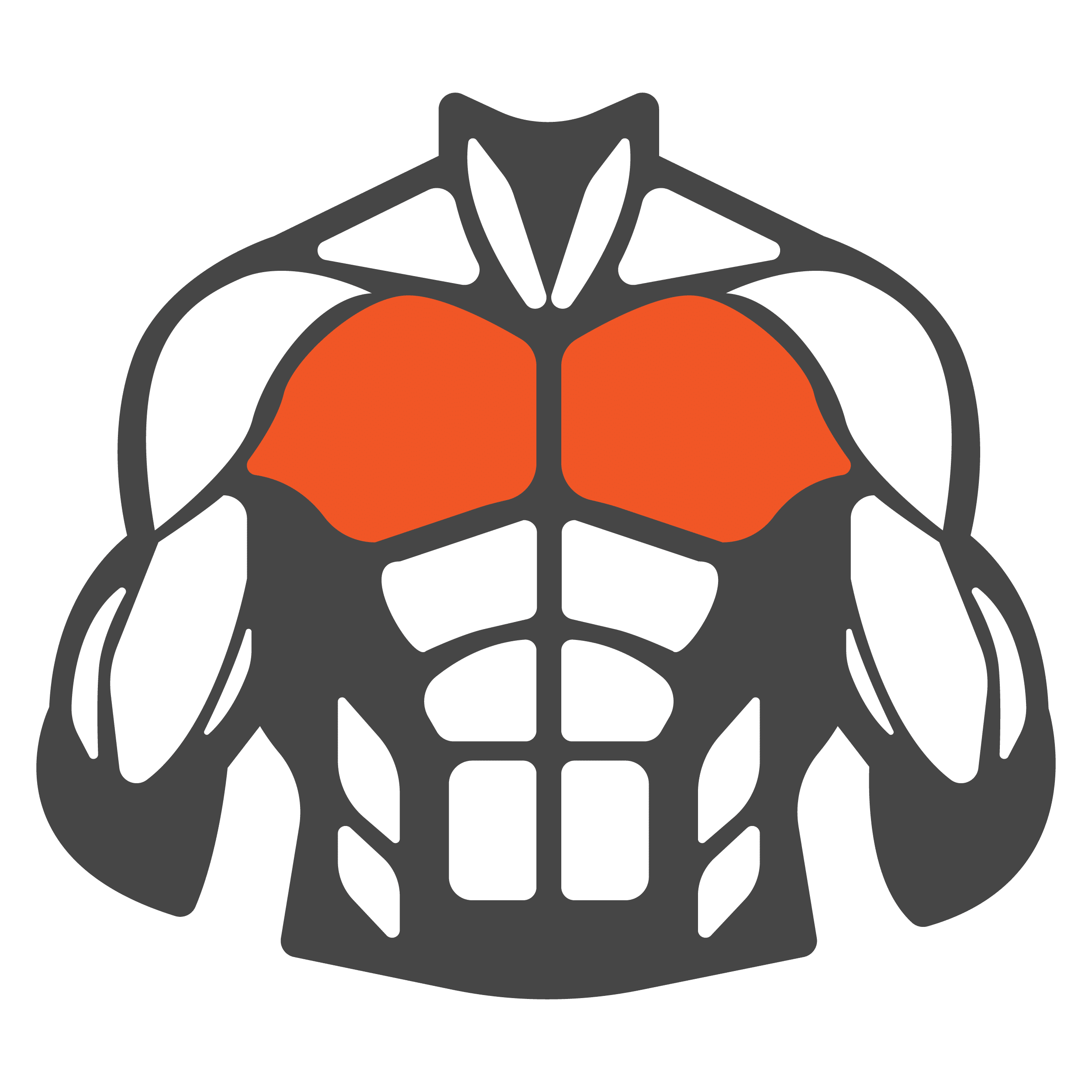chest muscle group icon