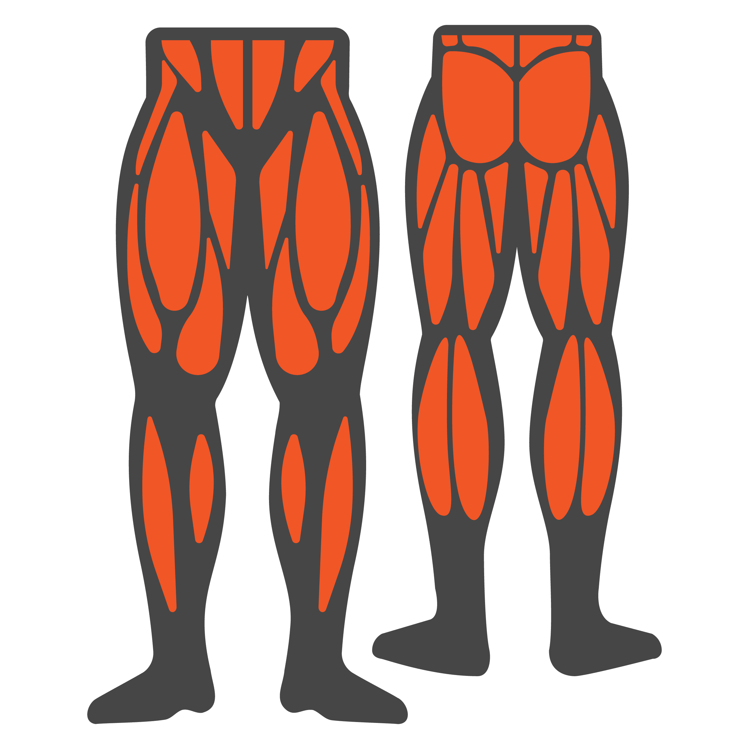 legs muscle group icon